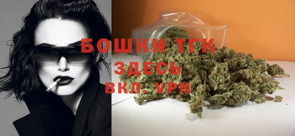 индика Белоозёрский