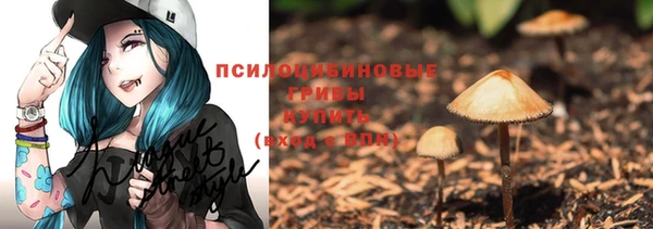 метадон Белокуриха