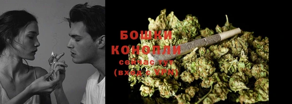 индика Белоозёрский