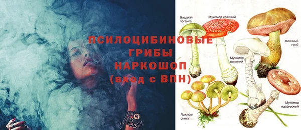метадон Белокуриха